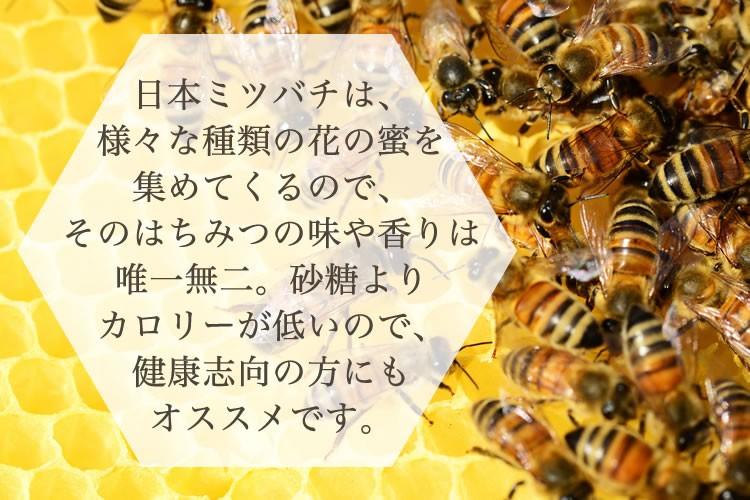 日本ミツバチの純はちみつ